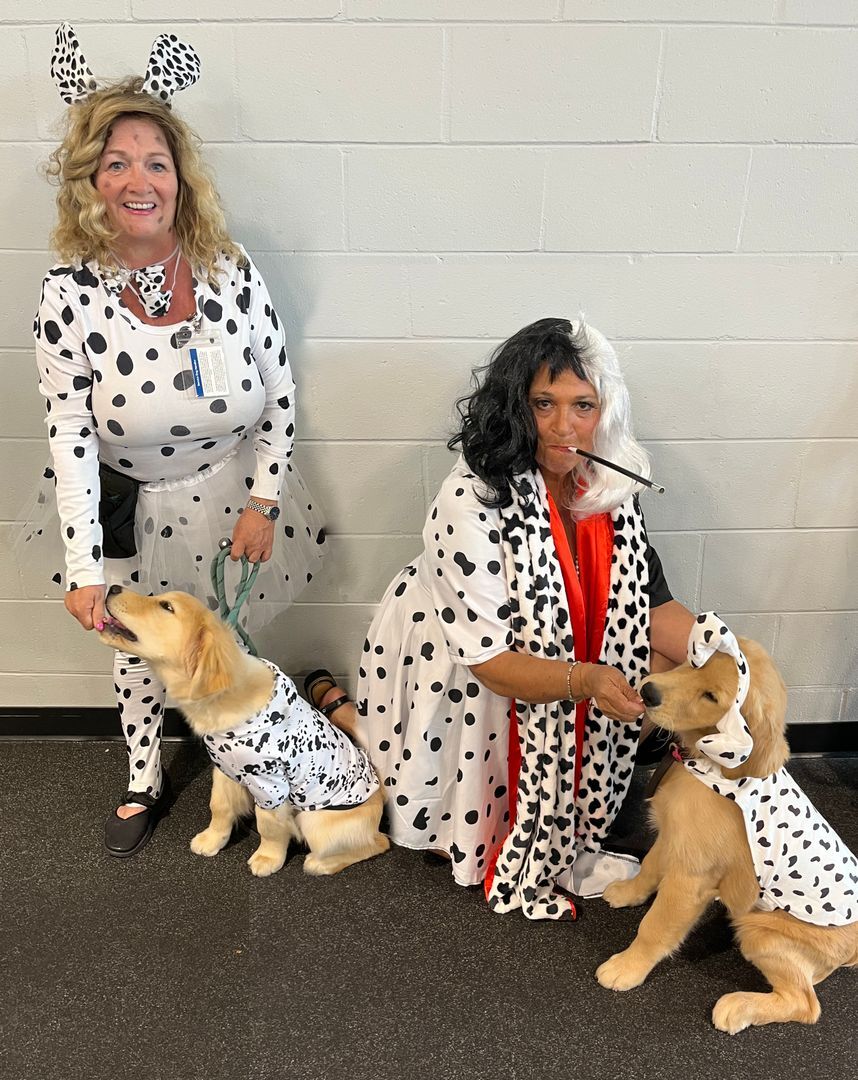 9f6c9f0d 6f6a 4d48 8f25 b61b88814c9f