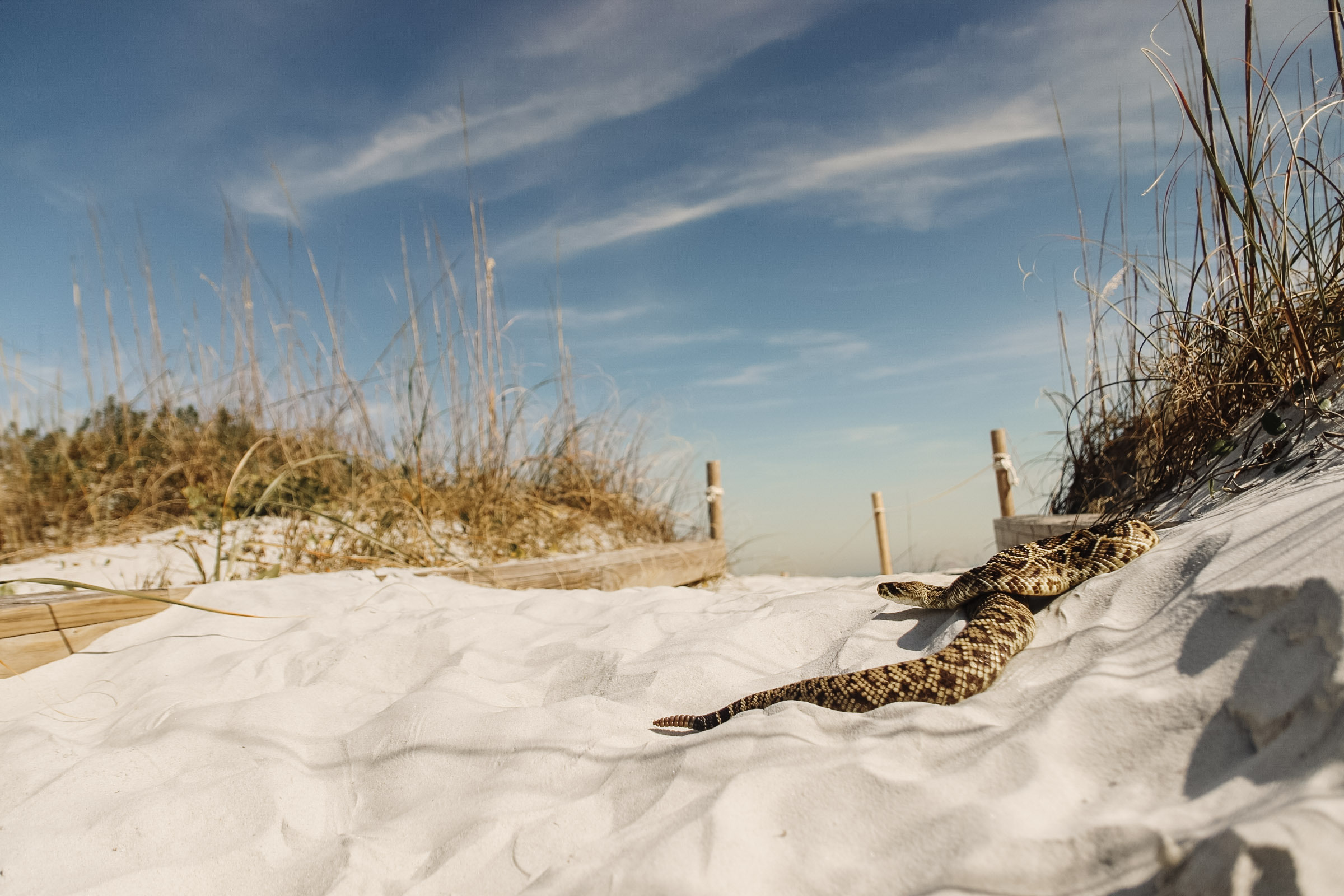 03ce7317 154d 4678 a725 c53e5f2b2115