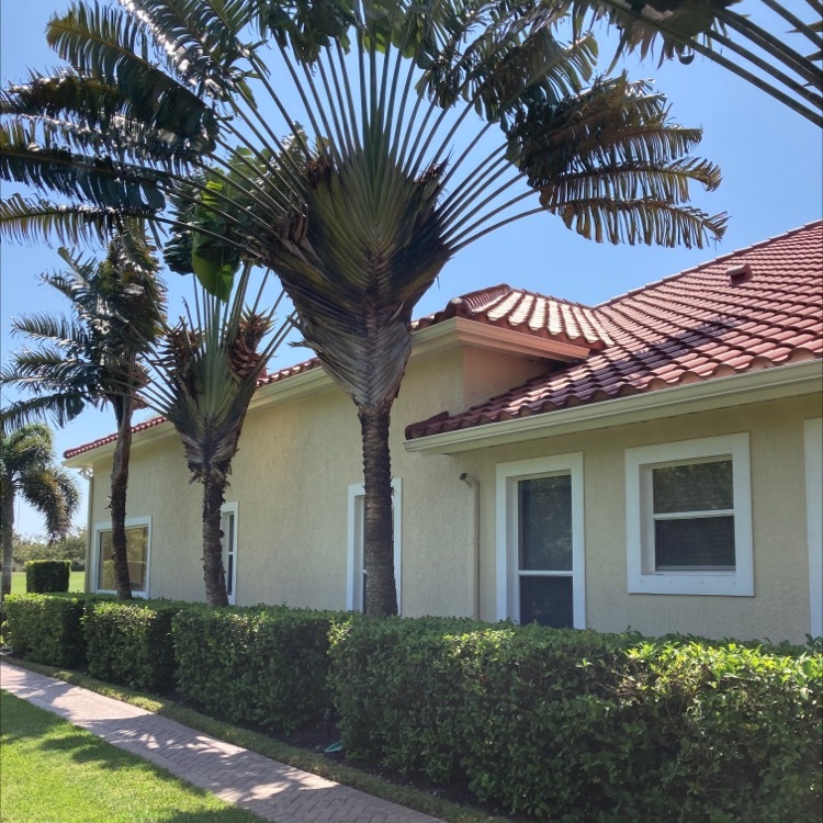 e6a8ad0d 03f0 4b78 b4c0 bf5873784bdd