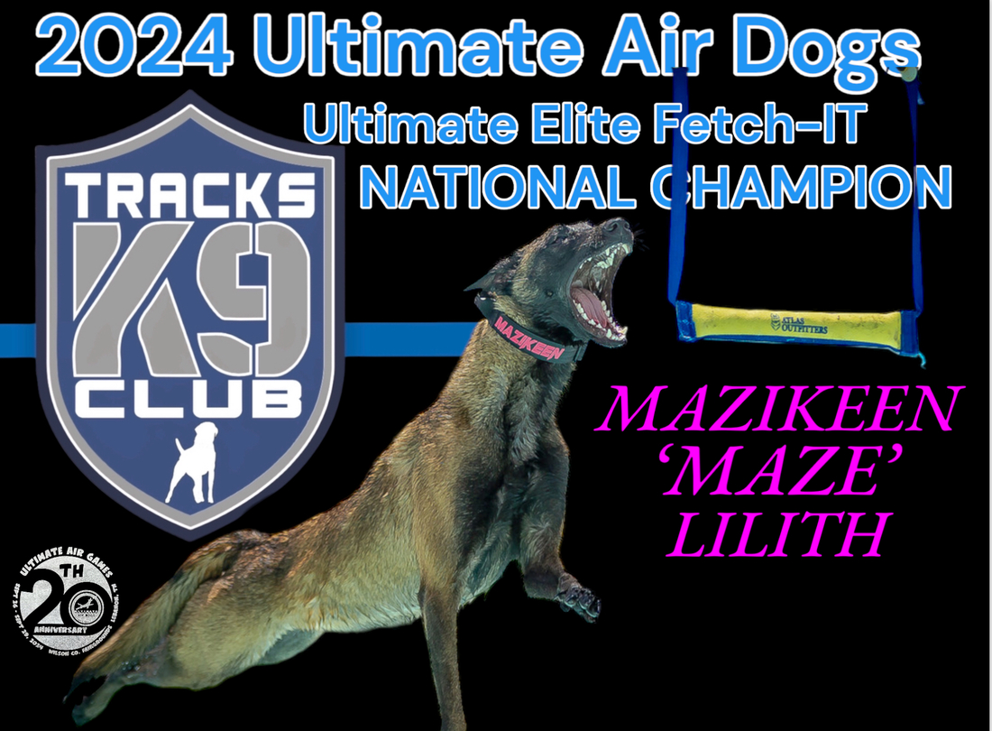 04c1fb4c 99db 4a4d ad7a d2bdc4542833