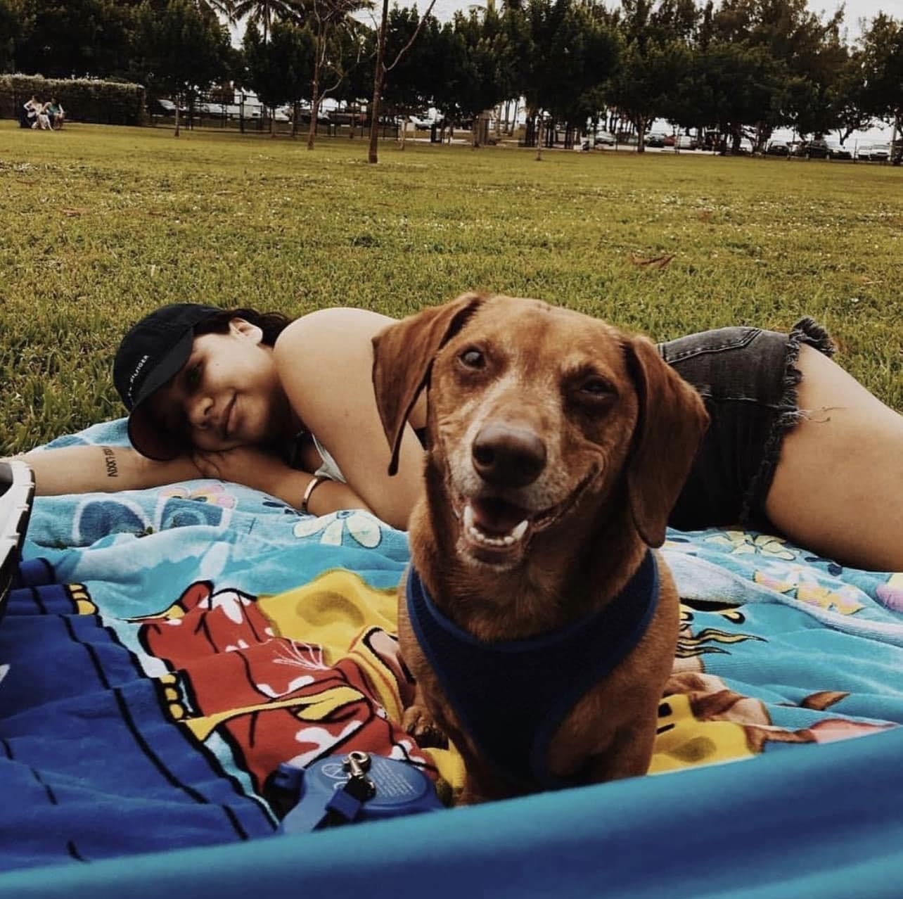 2c905fcc a127 40ba b78d a24e1d70af0f