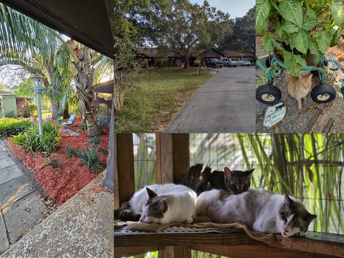 5c6f3fc1 0c04 4b3f 8471 3f18dde4833d