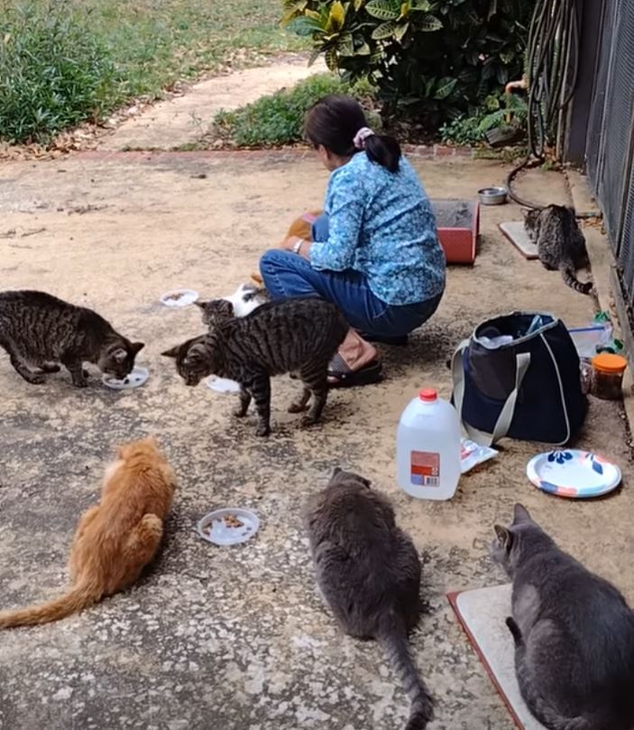 7d96194e 77e1 4daa 8f3f 3818e1beb201