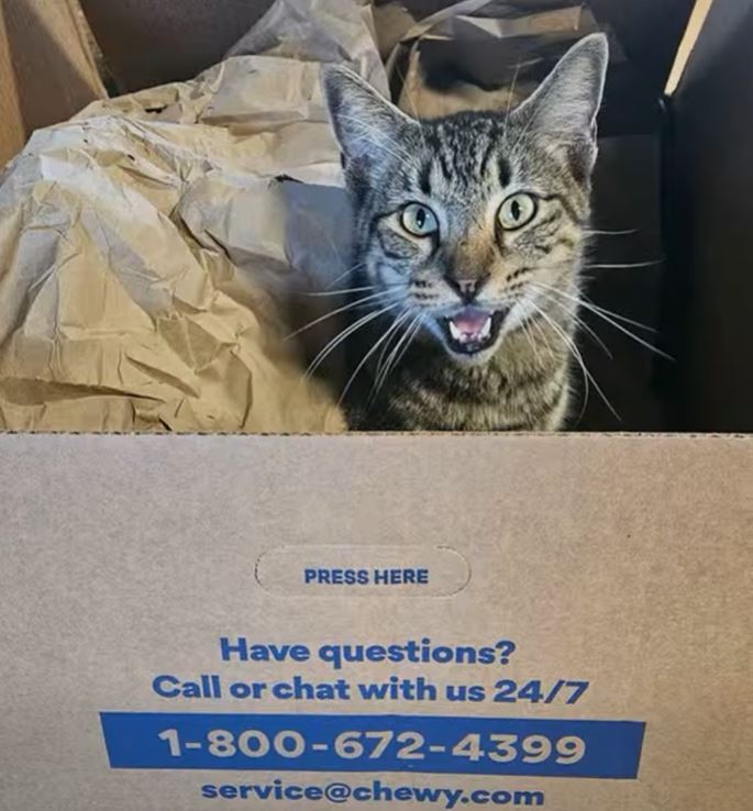 08eaf306 5568 4112 b7e8 e56f15e900f9