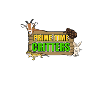 Prime Time Critters