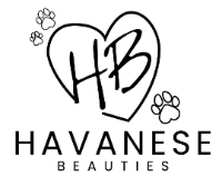 Havanese Beauties