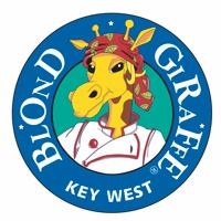 Blond Giraffe Key Lime Pie Factory