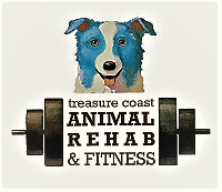 Treasure Coast Animal Rehabilitation & Fitness