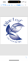 Blue Leaf Salon
