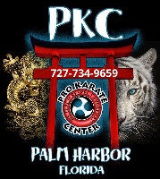 Pro Karate Center