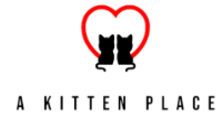 A Kitten Place