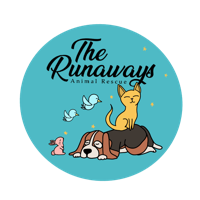 Runaways Animal rescue