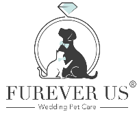 Furever Us