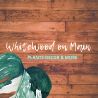 Whitewood on Main