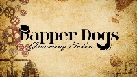 Dapper Dogs Grooming Salon