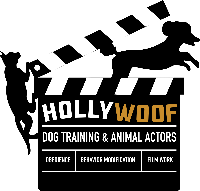 Hollywoof Training, LLC