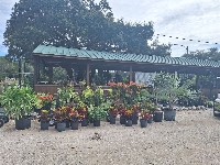 Citrus Park Nursery