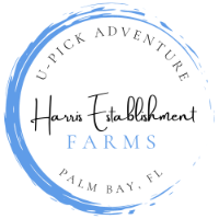 Harris Establishment Farms Flower U-Pick Adventure