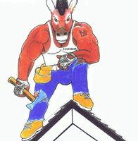 Raymond Frankart roofing