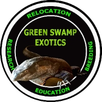 Green swamp exotics, LLC