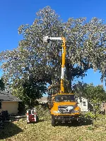 BROS TREE SERVICE LLC