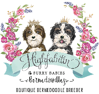 Highfalutin Furry Babies