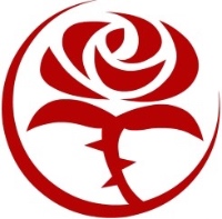 Bailes Consulting Services