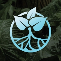 Island Root Kava Bar Port Saint Lucie