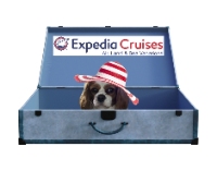 Expedia Cruises in Sarasota