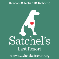 Satchel’s Last Resort