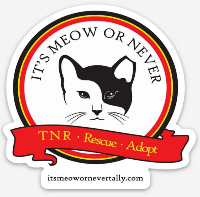 Its Meow or Never