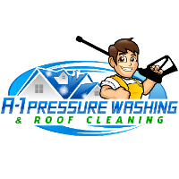 A-1 Pressure Washing & Roof Cleaning
