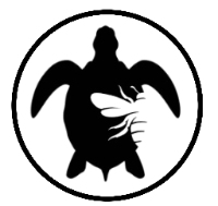 Turtle and Bea Book Boutique