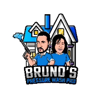 Brunos pressure wash pro llc