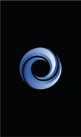 Vortex Computation