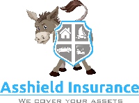 Asshield Insurance