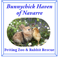 Bunnychick Haven of Navarre