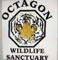 Octagon Wildlife Sanctuary