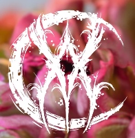 Aurum Veil Adornment