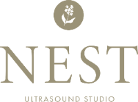 Nest Ultrasound Studio