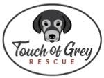 Touch of Grey Rescue
