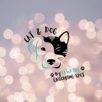 Cat & Dog Grooming by Pawdini