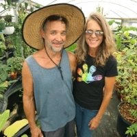 Crazy Plants Nursery
