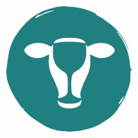 Cows 'n Cabs