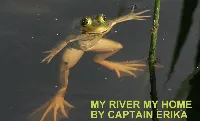 A Cruising Down The River