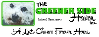 THE GREENER SIDE HAVEN, INC.