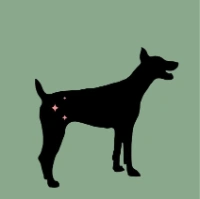 Beauty Bark Pet Spa LLC
