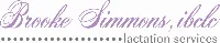 Brooke Simmons Lactation Services