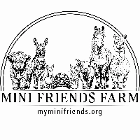 Mini Friends Farm