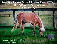 Beauty’s Haven Farm and Equine Rescue, Inc.